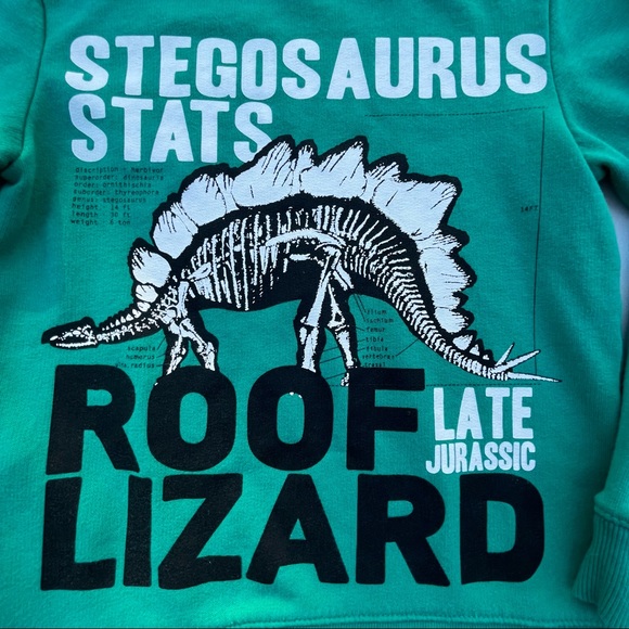 H & M Boys Size 6-8 Green Long Sleeve Dinosaur Graphic Sweater Dino Top - Picture 6 of 11